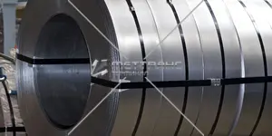 Лента металлическая в Рязани